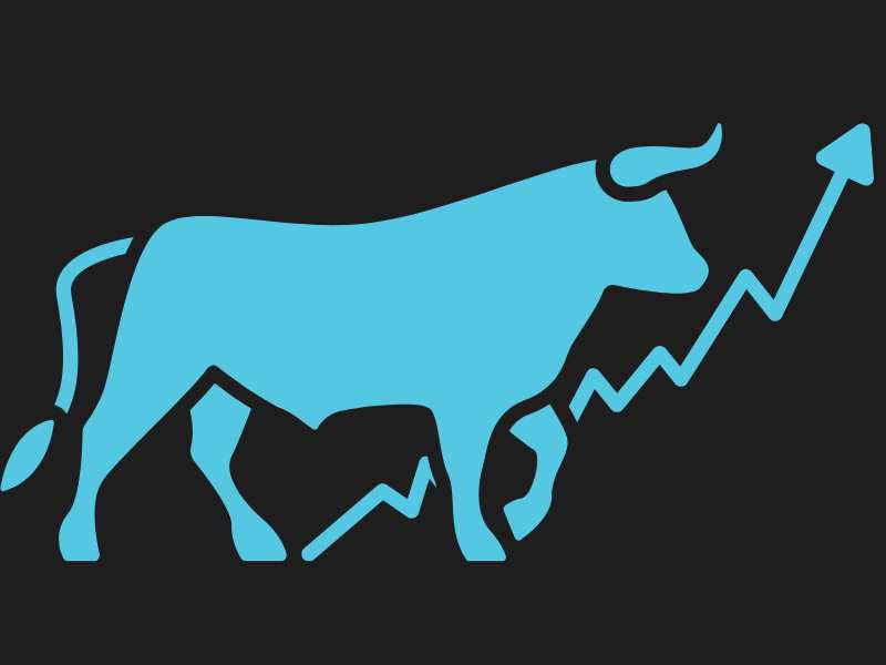 Share Market