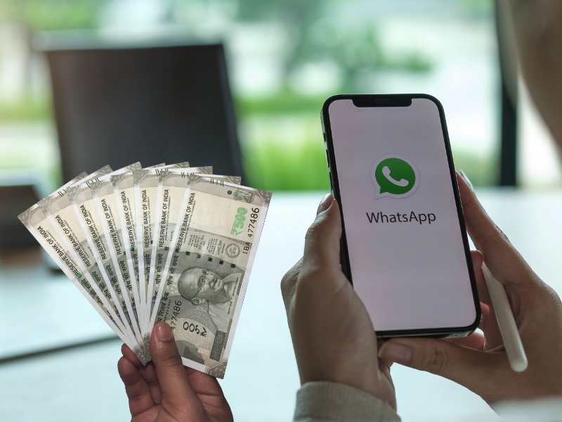 WhatsApp से पैसे कमाए